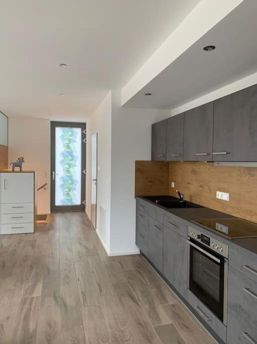 Edle First Class Ferienwohnung Riedlingen Eksteriør billede